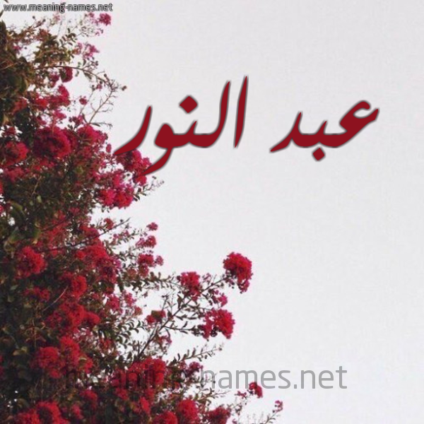 شكل 18 صوره الورد الأحمر للإسم بخط رقعة صورة اسم عبد النور Abd-Alnoor